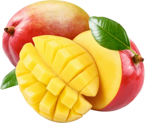Illustration accompanying African Mango Seed Extract